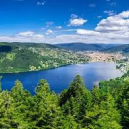 Superbe Appartement, Hypercentre Au Calme Avec Bain Balneo Gérardmer