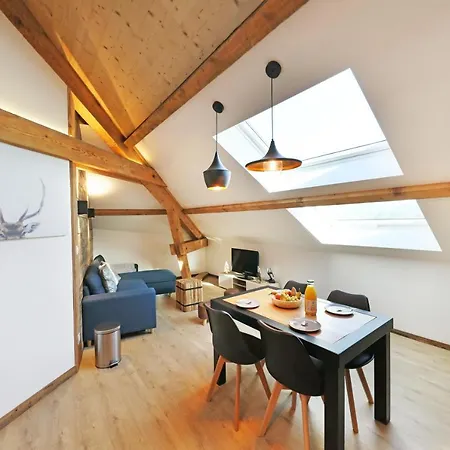 Superbe Appartement, Hypercentre Au Calme Avec Bain Balneo Apartment Gerardmer